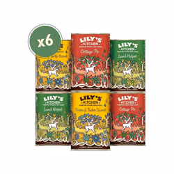 Lily's Kitchen Natural Adult Wet Dog Food Tins Classic Dinners Variety Pack 6 x 400g