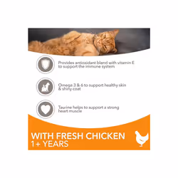 IAMS Complete Dry Cat Food for Adult 1+ Cats with Chicken 3 kg