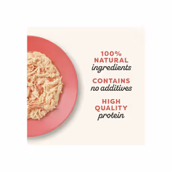 Applaws 100% Natural Wet Cat Food, Chicken with Duck in Broth, 70 g Tin (Pack of 24)