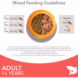 IAMS Adult Dry Cat Food Salmon 3kg