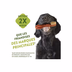 WHIMZEES By Wellness Variety Box, Mixed Shapes, Natural and Grain-Free Dog Chews, Dog Dental Sticks for Large Breeds, 14 Pieces, Size L