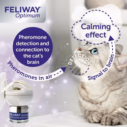 FELIWAY Optimum diffuser & 30 day refill, the best solution to ease cat anxiety, cat conflict and stress in the home, 48 ml (Pack of 1)