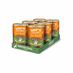 Lily's Kitchen Natural Adult Dog Food Wet Tins - Lean Machine Turkey & Squash - Complete Meal Recipes (6 Tins x 400g)