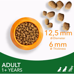 IAMS Complete Dry Dog Food for Adult 1+ Small and Medium Breeds with Lamb 3 kg