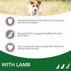 IAMS Complete Dry Dog Food for Adult 1+ Small and Medium Breeds with Lamb 3 kg
