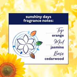 Comfort Sunshiny Days Fabric Conditioner with Stay Fresh technology for 100 days of freshness + fragrance* 160 washes (4.8 L)