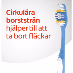 Colgate Toothbrush Premier Clean 4 Pack White