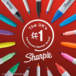 Sharpie Permanent Markers | Fine Point for Bold Details | Black Ink | 2 Marker Pens