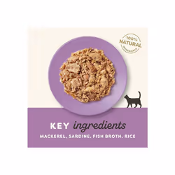 Applaws 100% Natural Wet Cat Food Tins, Mackerl with Sardine in Broth 70 g for Adult Cats (24 x 70 g Tins)