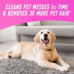 Vanish Gold Oxi Action Upholstery Carpet Powder for Large Area Cleaning 650g Removes 3x More Dirt & Pet Hair vs Vacuuming Alone Neutralises