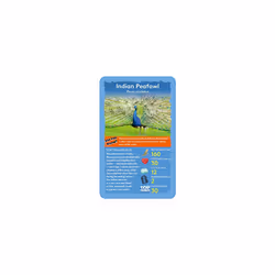 Birds Top Trumps Card Game