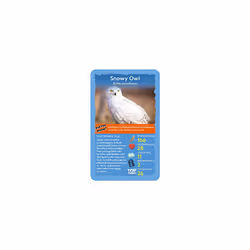 Birds Top Trumps Card Game