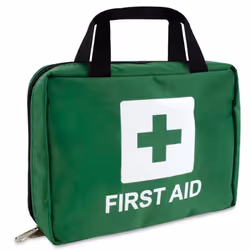 Lewis-Plast First Aid Kit Bag - 309 Piece Survival Kits - Safety Essentials for Travel Car Home Camping Work Hiking,Green