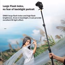 Godox TT600 2.4G Wireless Flash Speedlite Master/Slave Flash with Built-in Trigger System for Canon Nikon Pentax Olympus Fujifilm Panasonic (TT600)