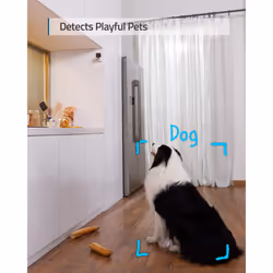 eufy security Solo IndoorCam C24, 2K Security Indoor Camera, Plug-in Camera with Wi-Fi, IP Camera, Human & Pet AI, Voice Assistant Compatibility,