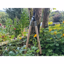 Spear & Jackson 5771KEW Kew Gardens Woodland Collection Bypass Loppers