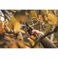 Fiskars Bypass Garden Pruners L, X-series PowerGear, P961, With rolling handle, For fresh branches and twigs, Non-stick coated, Stainless steel
