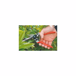 FELCO Model 6 Secateurs (Medium)