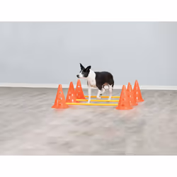 Trixie Dog Agility Obstacles, set 3 pcs.,orange, yellow