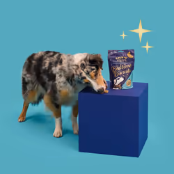Lily?s Kitchen Christmas Bedtime Biscuits with Natural Ingredients - Adult Dog Treats Packet (8 Packs x 80g)