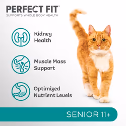 Perfect Fit Senior 11+ Complete Dry Cat Food for Senior Cats Aged 11+ Years, Rich in Chicken, 3 Bags (2.8 kg)