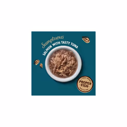 Lily's Kitchen Shredded Fillets with Tuna and Salmon - Grain Free Adult Wet Cat Food (24 Tins x 70 g)