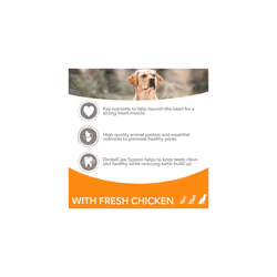 IAMS Complete Dry Dog Food for Senior 7+ Large Breeds with Chicken 12 kg