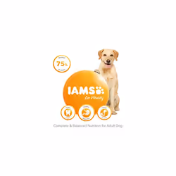 IAMS Complete Dry Dog Food for Adult 1+ Large Breeds with Lamb 12 kg