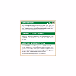 IAMS Complete Dry Dog Food for Adult 1+ Large Breeds with Lamb 12 kg