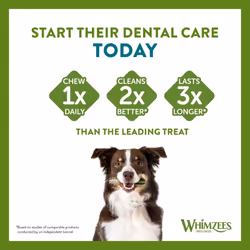 WHIMZEES By Wellness Stix, Month Box, Natural and Grain-Free Dog Chews, Dog Dental Sticks for Large Breeds, 30 Pieces (One Month Supply), Size L