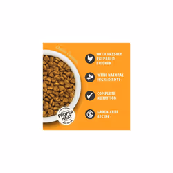 Lily's Kitchen Natural Adult Dry Cat Food Chicken Casserole Grain-Free Recipe 4 x 800g