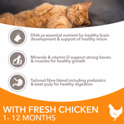 IAMS Complete Dry Cat Food for Kittens with Chicken 10 kg