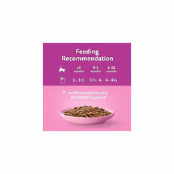 Whiskas Junior Classic Selection in Gravy 84 Pouches, Wet Kitten & Cat Food, Selection of Beef, Lamb, Chicken & Poultry, Megapack (84 x 85 g)