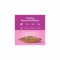 Whiskas 1+ Adult Tasty Duo in Jelly 84 Pouches, Adult Wet Cat Food, Surf & Turf, Megapack (84 x 85 g)