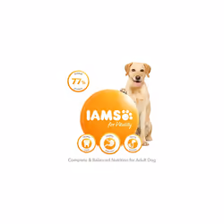 IAMS Complete Dry Dog Food for Adult 1+ Large Breeds with Chicken 12 kg