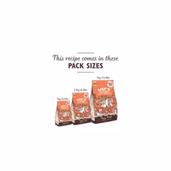 Lily's Kitchen Natural Puppy Dry Dog Food Chicken Salmon & Peas 7kg