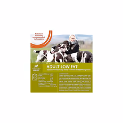Wellness CORE Adult Low Fat, Dry Dog Food, Dog Food Dry For Sterilised Dogs, For Weight Loss and Grain Free, High Meat Content, Turkey, 10 kg