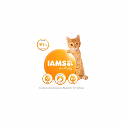 IAMS Complete Dry Cat Food for Kittens with Ocean Fish 10 kg