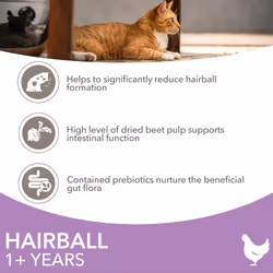 IAMS Hairball Complete Dry Cat Food for Adult and Senior Cats with Chicken 10 kg