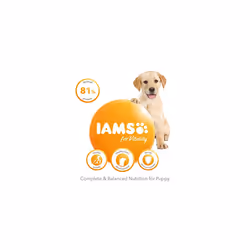 IAMS Complete Dry Dog Food for Puppy Large Breeds with Chicken 12 kg