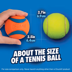 ChuckIt! Ultra Ball Dog Toy Chuckit Bucket Durable Rubber Dog Ball and Bucket High Bounce Floating Chuck It Launcher Compatible Toy Balls For Dogs