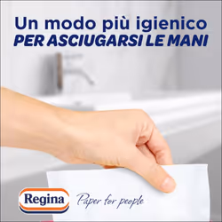 Regina Disposable Towels ? Pack of 100 Services, Disposable Towels Practical and Hygienic, 100% FSC Cellulose, Biodegradable, Dispenser Pack
