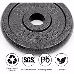 PROIRON Gym Quality Fitness Exercise Solid Cast Iron Weight Plate Discs 4 x 1.25kg