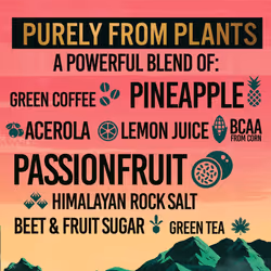 TENZING Natural Energy Drink, Plant Based, Vegan, & Gluten Free Drink, BCAA, Pineapple & Passionfruit, 330ml (Pack of 24) - Packaging may vary