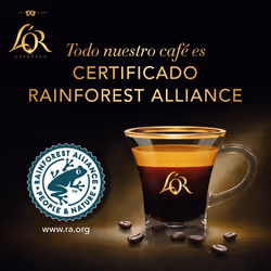 L'OR Grand Assortment Variety Bundle Coffee Pods x20 (Pack of 20, Total 200 Capsules)