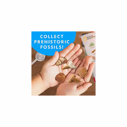 NATIONAL GEOGRAPHIC Rock Collection and Fossils for Kids? 300+ Piece Crystals and Gemstones Set Includes Geodes and Fossils, Rocks and Minerals