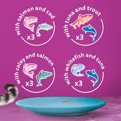 Whiskas Tasty Duo 1+ Ocean Delight in Jelly 48 x 85 g Pouches, Adult Cat Food, Pack of 4 (12 x 85 g)