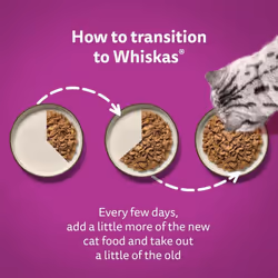 Whiskas Tasty Duo 1+ Ocean Delight in Jelly 48 x 85 g Pouches, Adult Cat Food, Pack of 4 (12 x 85 g)