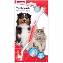 Beaphar Double-Ended Toothbrush Dental Care For Dogs & Cats Targets Hard-to-Reach Areas Helps Prevent Bad Breath & Combat Pla ...
