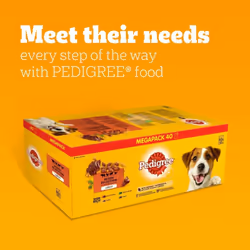 Pedigree Mixed Selection in Jelly 40 Pouches, Adult Wet Dog Food, Megapack , 100 g (Pack of 40)